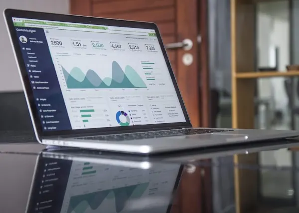 E-commerce SEO Growth Project